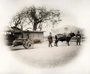 c. 1880s Japan - bullock cart