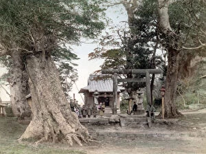 Images Dated 8th February 2021: c. 1880s Japan - Honmoku temple