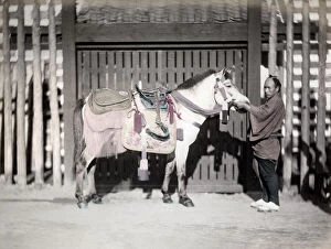 Saddle Collection: c. 1880s Japan - horse with saddlery and groom