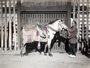 Tack Prints: c. 1880s Japan - horse with saddlery and groom
