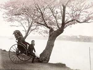 c. 1880s Japan - Mukojima Tokyo, rickshaw