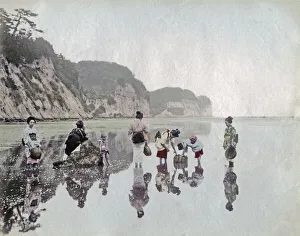 c. 1880s Japan - picking shellfish on the shore