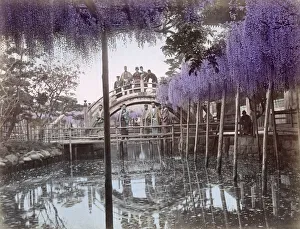 Bloom Prints: c. 1880s Japan - wisteria flowers and bridge