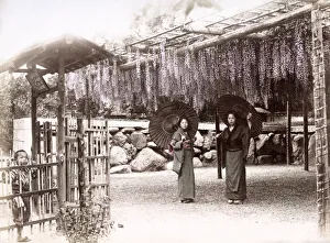 Wisteria Prints: c. 1880s Japan - women with parasols wisteria plants