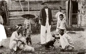 Cock Prints: c. 1880s South East Asia - Philippines - cock fighting
