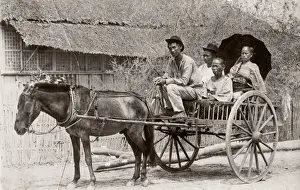 Pony Prints: c. 1880s South East Asia - Philippines - pony and trap