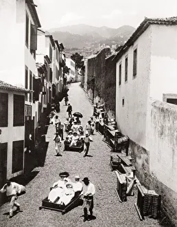 c. 1880s - tourist sledge in Madeira Portugal