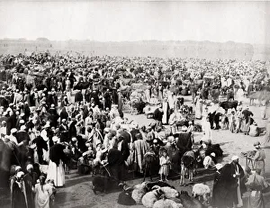c. 1890s Egypt - sheep market - by JP Sebah