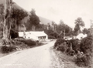 New Zealand Collection: c. 1890s New Zealand - Jackson, west coast