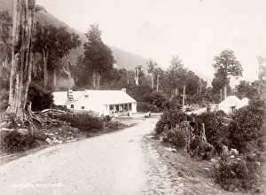 c. 1890s New Zealand - Jackson, west coast