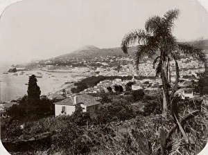 Madeira Prints: c. 1890s Portugal - island of Madeira towards Funchal