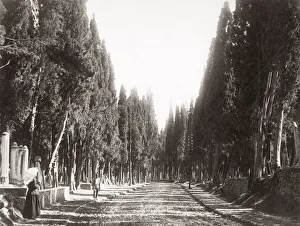 c. 1890s Turkey - Turkish cemetery at Scutari