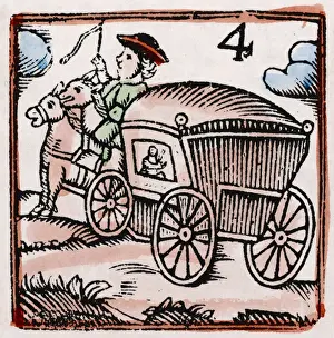 C17 COACHMAN