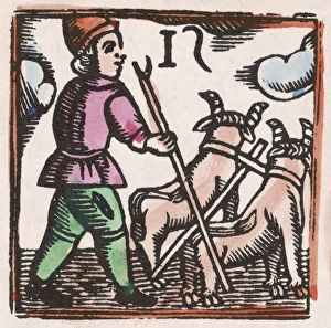 C17 Ploughing/Woodcut