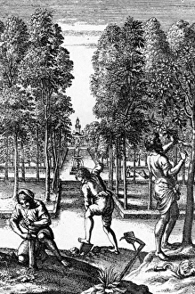 Images Dated 13th June 2012: C18 Apple Orchard