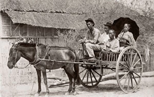 c.1880s South East Asia - Philippines - pony and trap