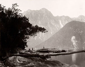 New Zealand Gallery: c.1890s New Zealand - Harrison Cove, Milford Sound