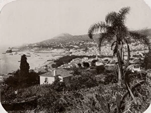 Madeira Gallery: c.1890s Portugal - island of Madeira towards Funchal