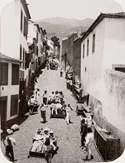 Madeira Gallery: c.1890s Portugal Madeira - sledges in the street