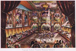 Cabaret performance in the fashionable Papagaj Kabare
