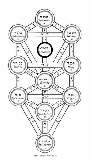 Jewish Collection: Cabbala Tree of Life