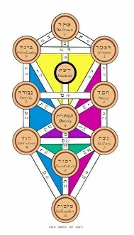 Jewish Collection: Cabbala Tree of Life / Col