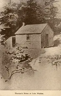 Cabin Prints: Cabin of Henry David Thoreau, Concord, Massachusetts, USA