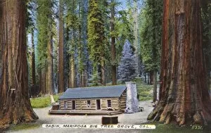 Cabins Collection: Cabin, Mariposa Big Tree Grove, California, USA
