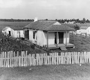 Cabin of sugarcane worker. Bayou La Fourche, Louisiana