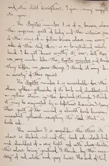 Cabrera Prints: Cabrera-Thomas letter - page 3