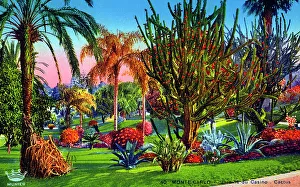 Cactii in the Gardens of the Casino, Monte Carlo