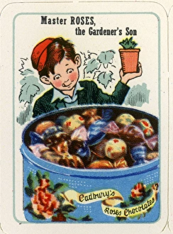 Cadburys Gallery: Cadburys Happy Families - Master Roses