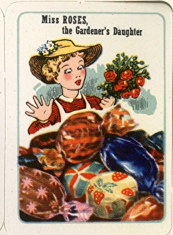 Images Dated 27th January 2017: Cadburys Happy Families - Miss Roses