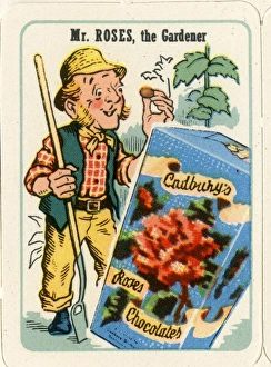 Images Dated 30th January 2017: Cadburys Happy Families - Mr Roses