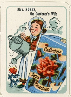 Images Dated 30th January 2017: Cadburys Happy Families - Mrs Roses