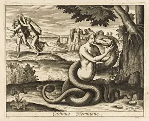 CADMUS BECOMES DRAGON