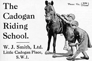 Adverts Gallery: Cadogan Riding School advertisement