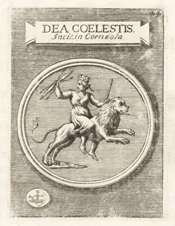 Ridolfino Venuti Prints: Caelestis Afrorum Dea riding a lion