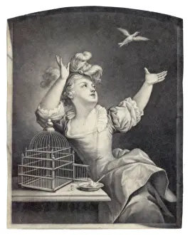 Cage Bird Released