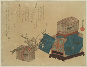 Caged Gallery: Caged bush warbler and plum