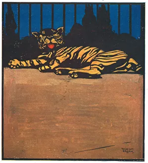 Enclosure Prints: Caged Tiger