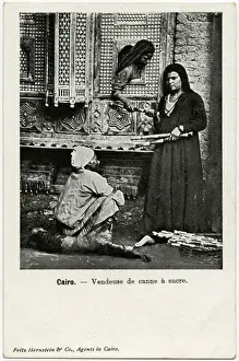 Fretwork Prints: Cairo, Egypt - Sugar Cane Seller