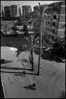 Cairo suburb with shadow of bike, Egypt