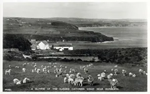 Images Dated 15th December 2020: Caithness Coastline near Dunbeath, Scotland