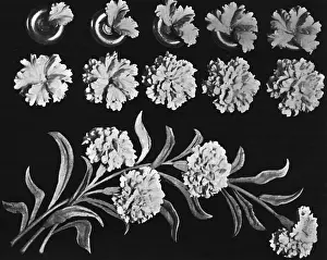 Cake design, flower making