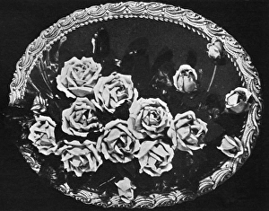 Advanced Gallery: Cake design, flower making. Marzipan Rose Plaque