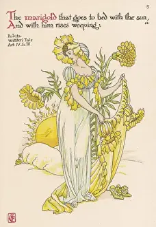 Calendula Officinalis