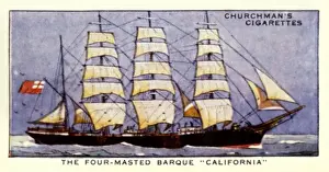 Barque Prints: CALIFORNIA BARQUE
