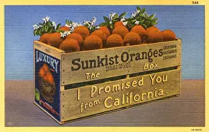 Californian Sunkst Oranges, USA