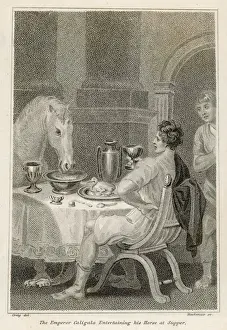 Caligula & Horse / Craig